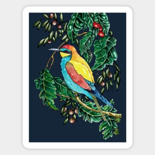 Bee Eater Bird Magnet